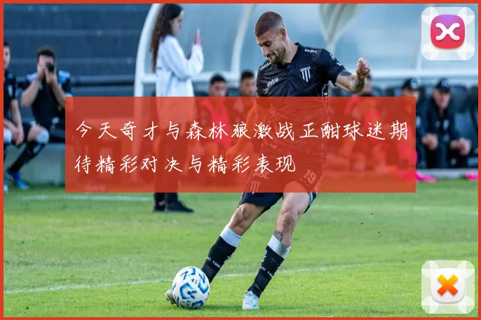 今天奇才与森林狼激战正酣球迷期待精彩对决与精彩表现